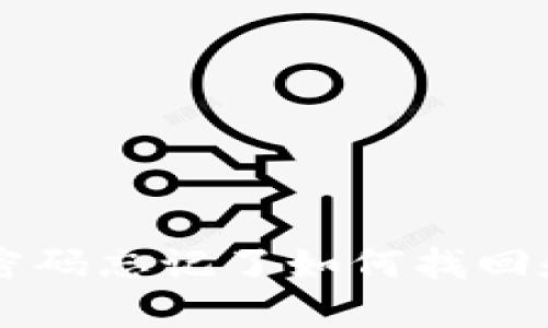 TPWallet登录密码忘记了如何找回和重置完整指南