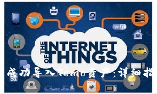 如何在TPWallet中成功导入Tomo资产：详细指南与常见问题解答