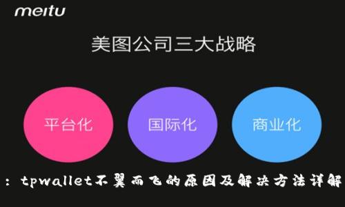 : tpwallet不翼而飞的原因及解决方法详解