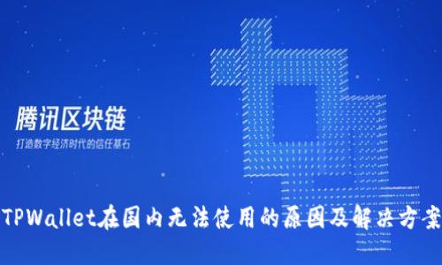 TPWallet在国内无法使用的原因及解决方案
