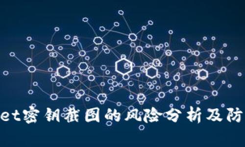 tpwallet密钥截图的风险分析及防范措施