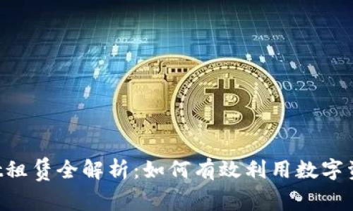 TokenPocket租赁全解析：如何有效利用数字资产管理工具