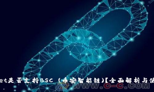 TPWallet是否支持BSC (币安智能链)？全面解析与使用指南
