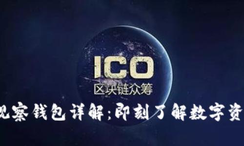 tpwallet 的观察钱包详解：即刻了解数字资产的安全管理