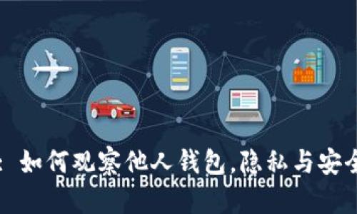 : TPWallet: 如何观察他人钱包，隐私与安全的双重考量