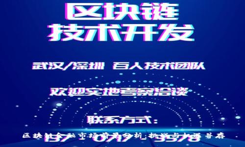 区块链金融市场前景分析：挑战与机遇并存