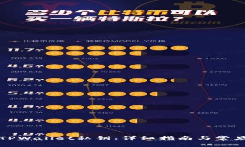 如何查看TPWallet私钥：详细指南与常见问题解答