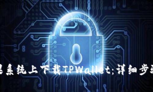 : 如何在苹果系统上下载TPWallet：详细步骤与注意事项