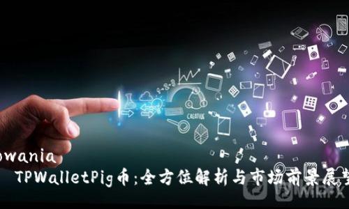 owania
  TPWalletPig币：全方位解析与市场前景展望