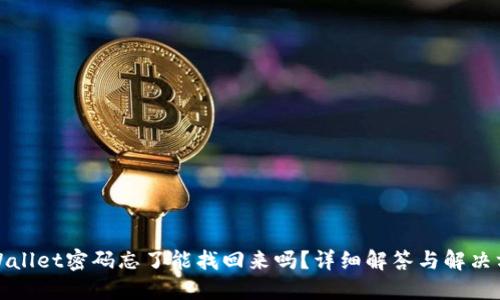 TPWallet密码忘了能找回来吗？详细解答与解决方案