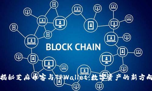 揭秘芝麻币客与TPWallet：数字资产的新方向