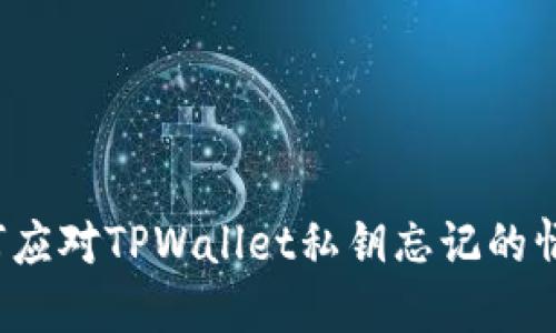 如何应对TPWallet私钥忘记的情况？