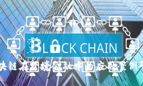 区块链在跨境金融中的应用案例研究