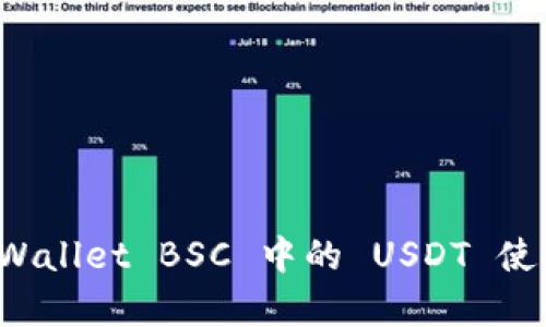 深度解析 TPWallet BSC 中的 USDT 使用与投资策略