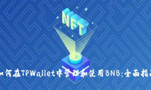 如何在TPWallet中管理和使用BNB：全面指南