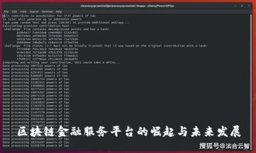 区块链金融服务平台的崛起与未来发展