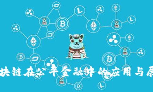 区块链在公平金融中的应用与展望