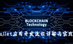 TPWallet应用开发流程详解与实践指南