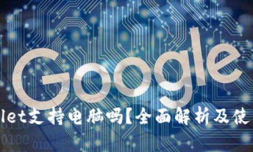 TPWallet支持电脑吗？全面解析及使用指南